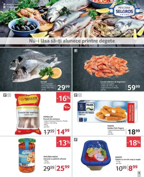 Pagina 5