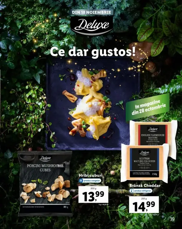 Cataloage Lidl: Ofertă actuală din 28.10.2024 - Oferta produse - 28-10-2024 - 31-12-2024.