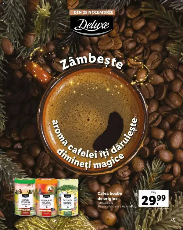 Cataloage Lidl: Ofertă actuală din 28.10.2024 - Oferta produse - 28-10-2024 - 31-12-2024.