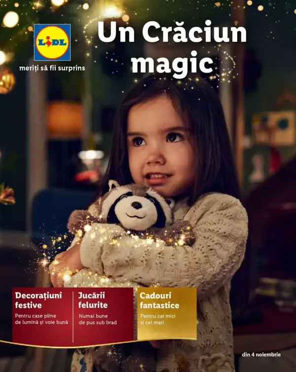 Cataloage Lidl: Ofertă actuală din 04.11.2024 - Oferta produse - 04-11-2024 - 31-12-2024.