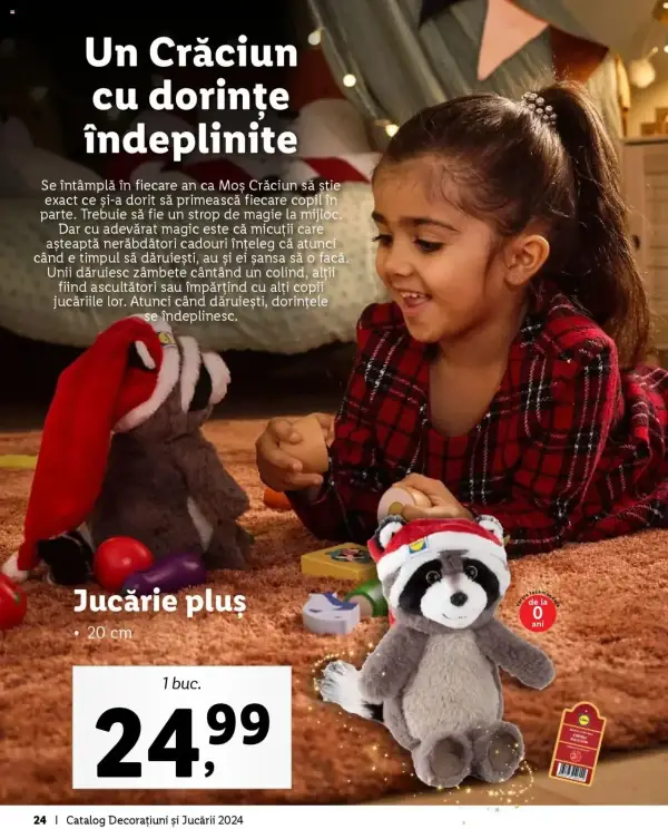 Pagina 24
