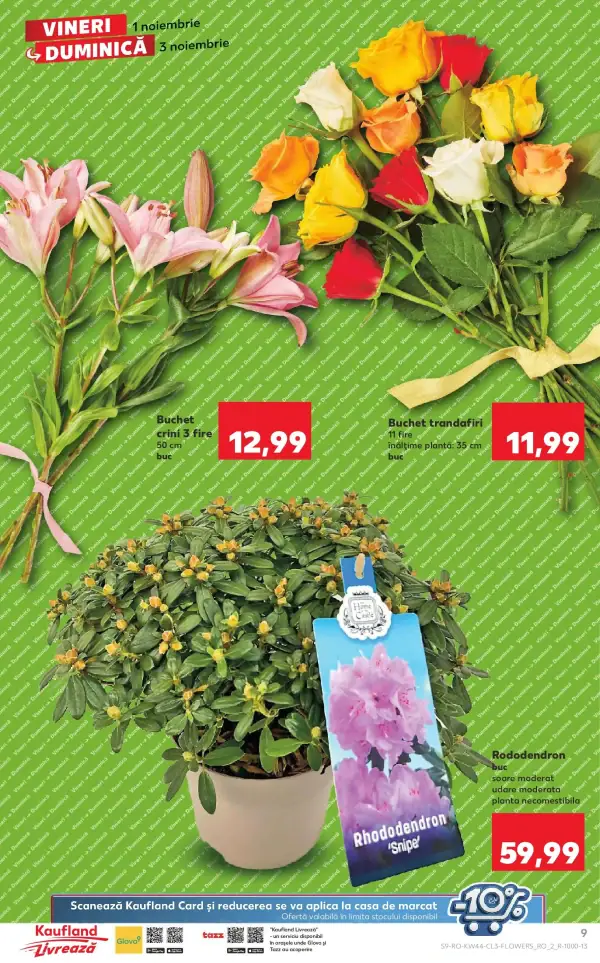 Pagina 9