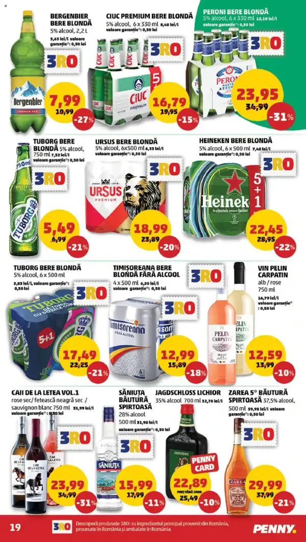 Pagina 19
