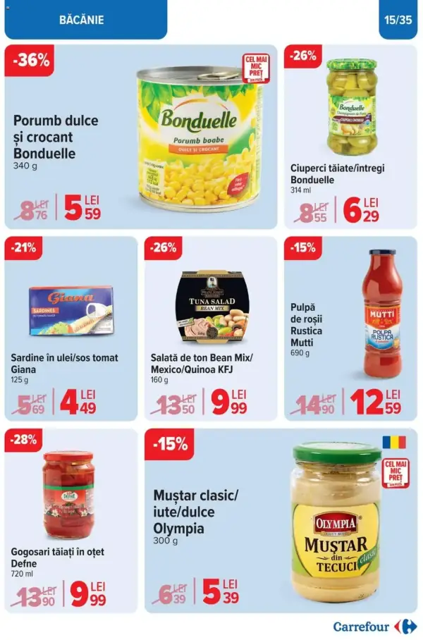Pagina 15