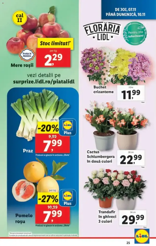 Pagina 25
