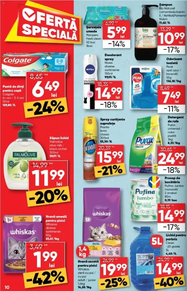 Pagina 10