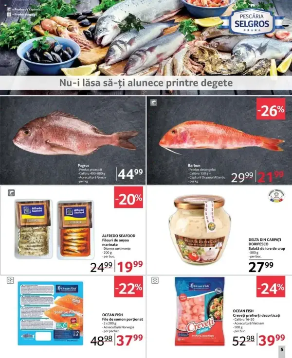 Pagina 5