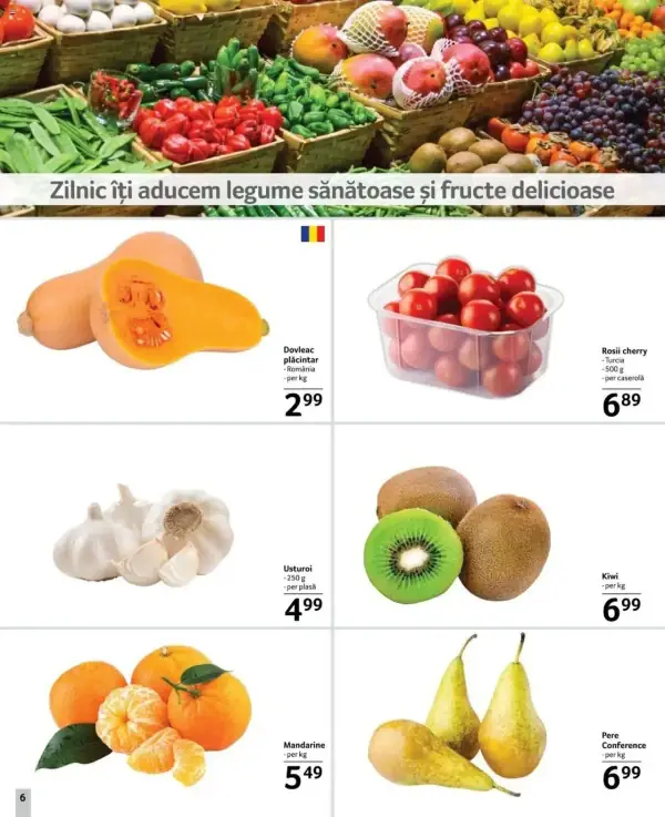 Pagina 6