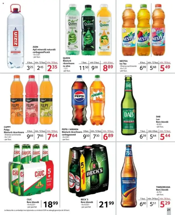 Pagina 21