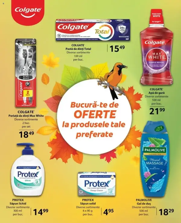 Pagina 29