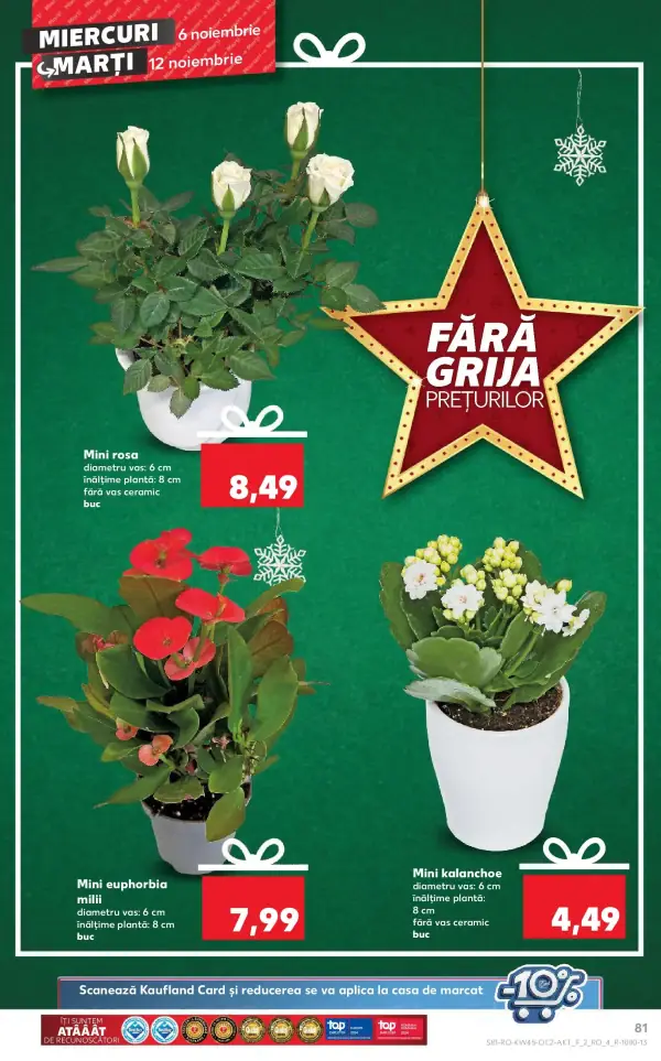 Pagina 81