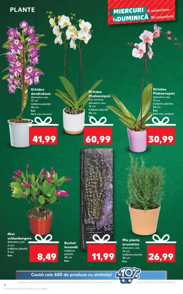Pagina 6