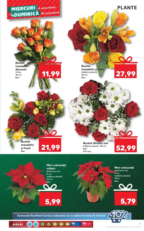 Pagina 7