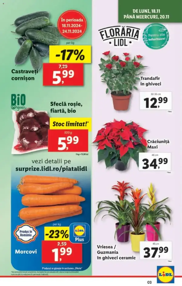 Cataloage Lidl: Ofertă actuală din 18.11.2024 - Oferta produse - 18-11-2024 - 24-11-2024.