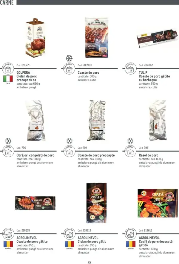 Pagina 42