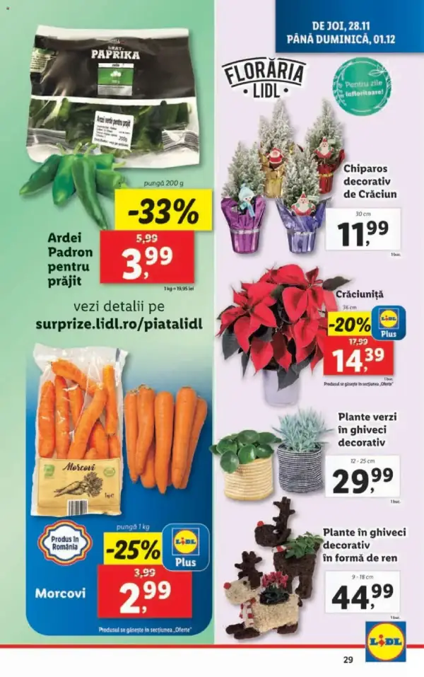 Cataloage Lidl: Ofertă actuală din 25.11.2024 - 25.11. 01.12. oferte - 25-11-2024 - 01-12-2024.