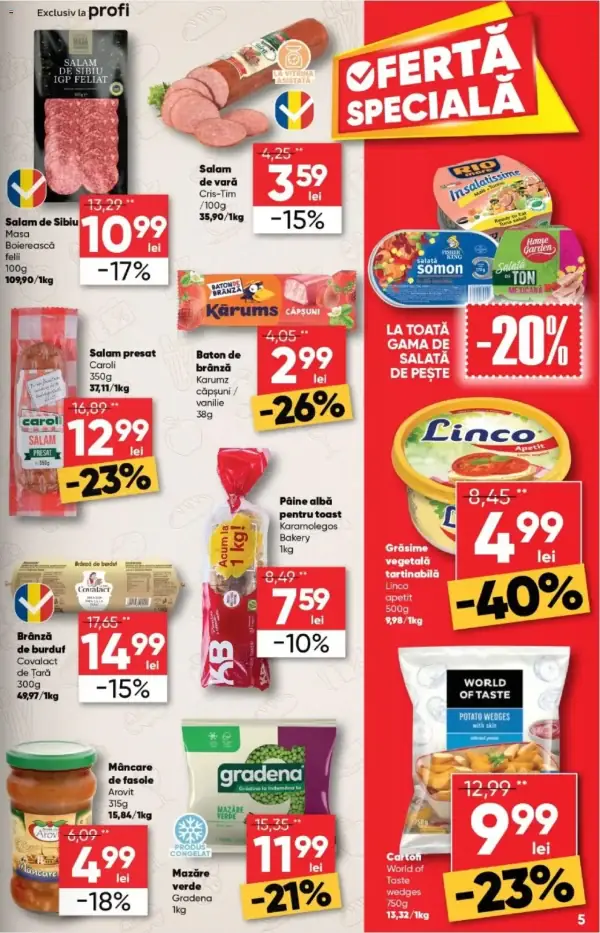 Pagina 5