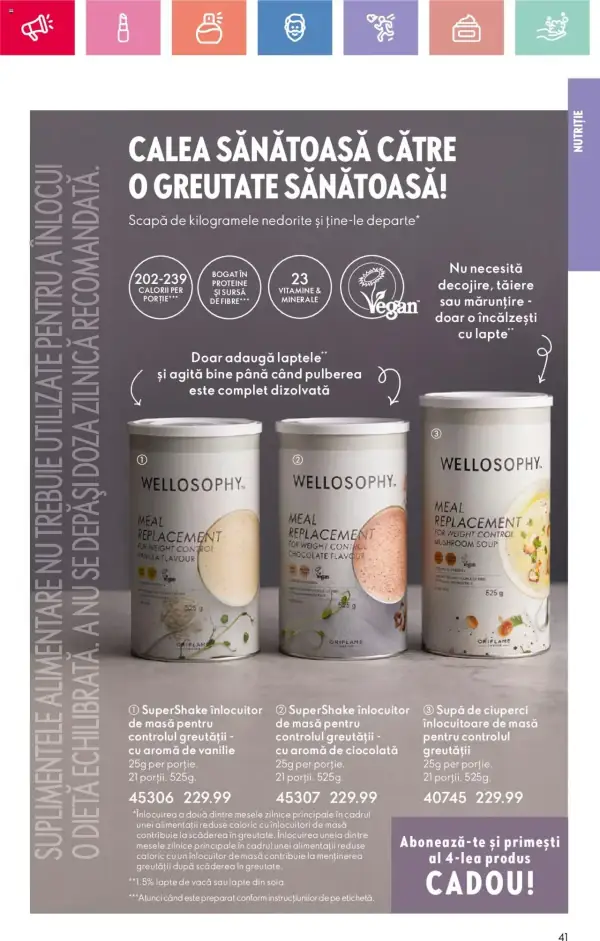 Pagina 41