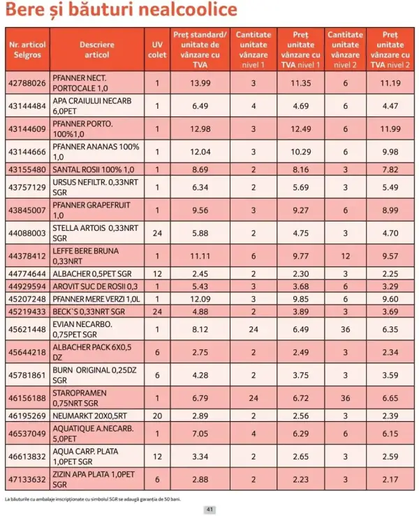 Pagina 41