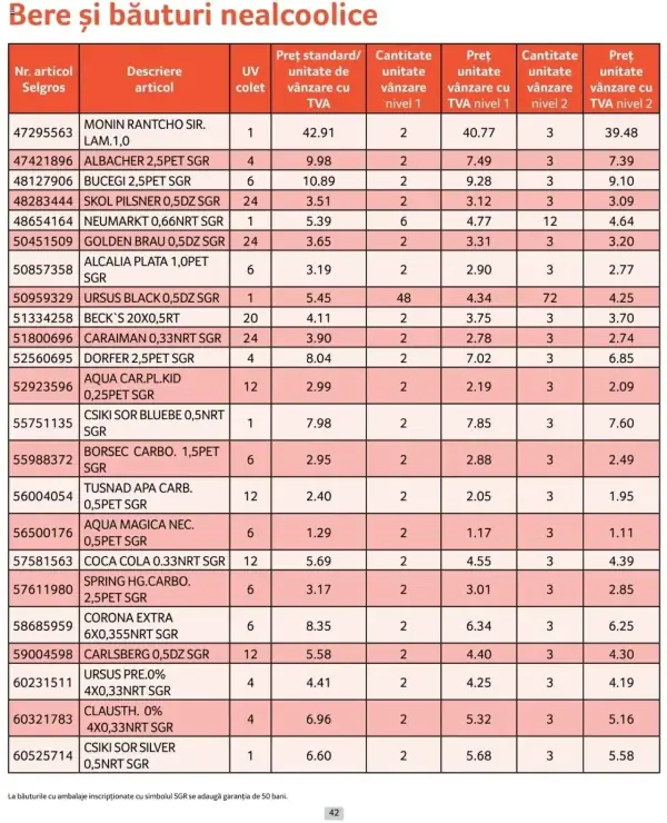 Pagina 42