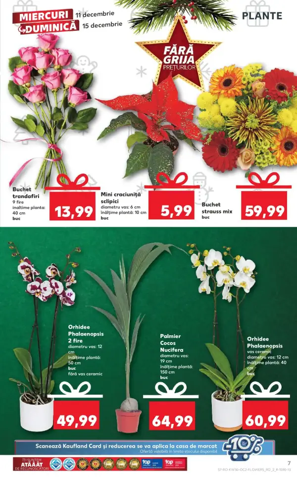 Pagina 7