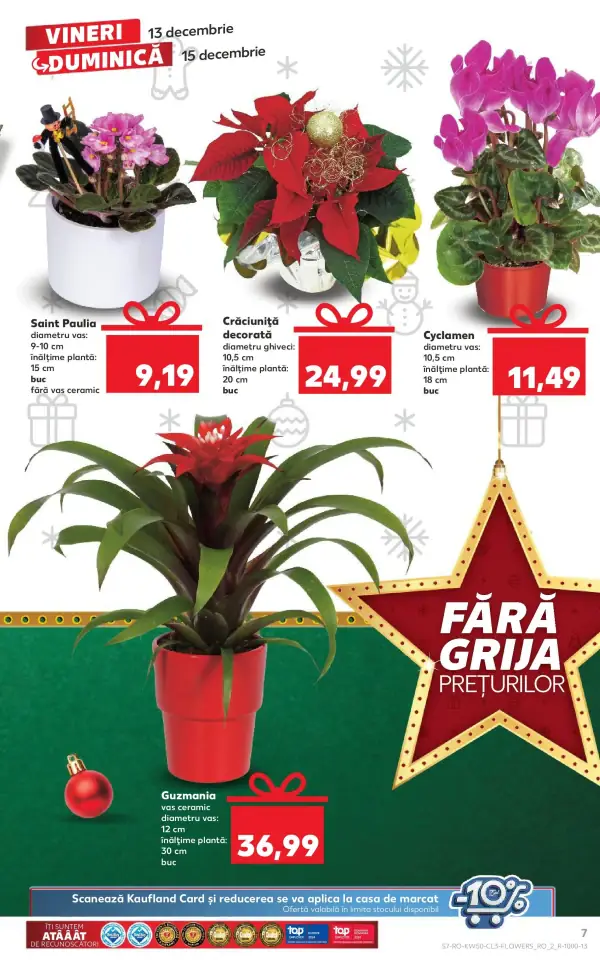 Pagina 7
