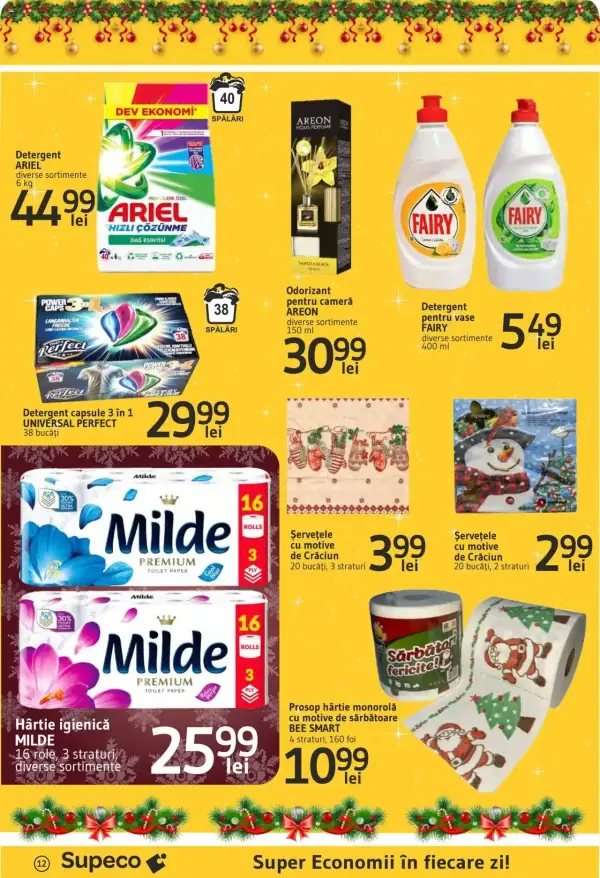 Pagina 12