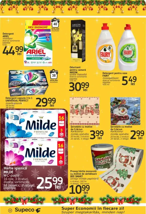 Pagina 12