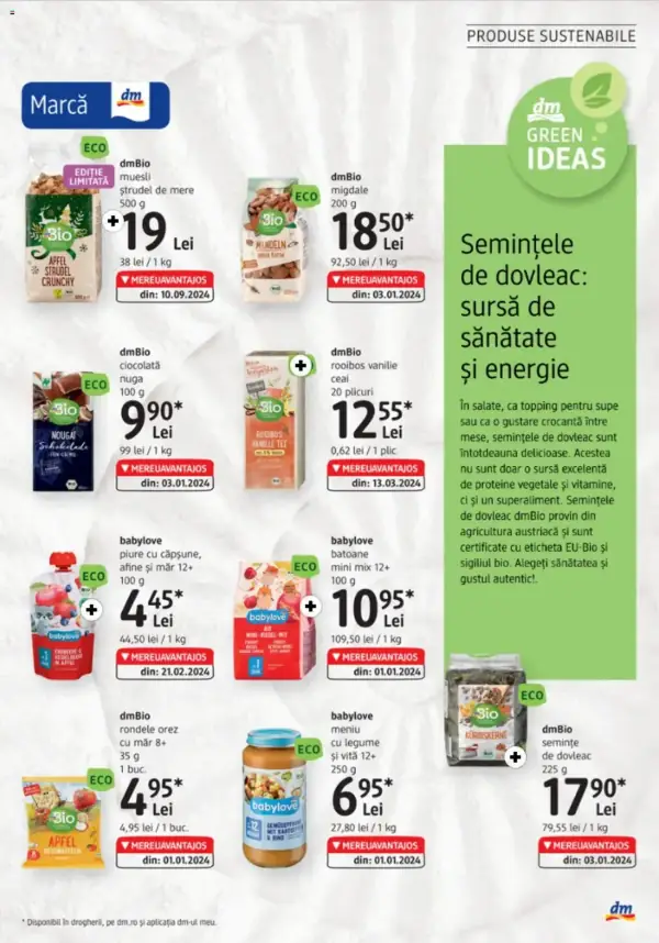 Pagina 31