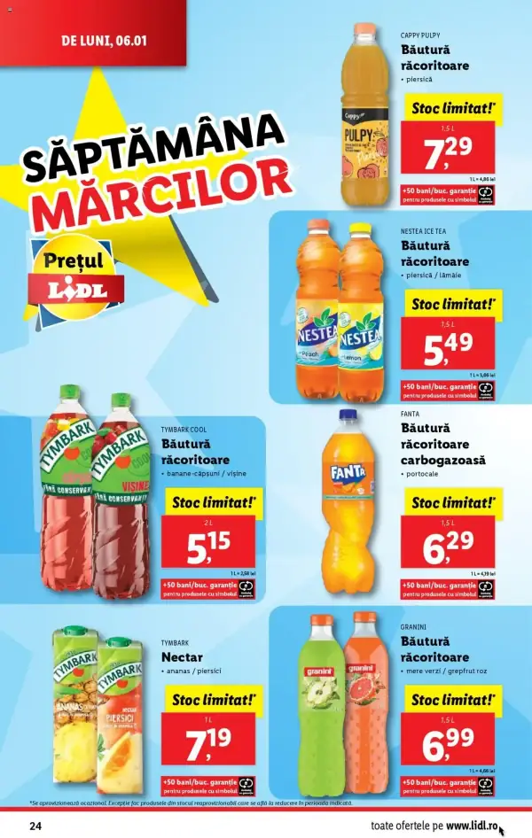 Pagina 24