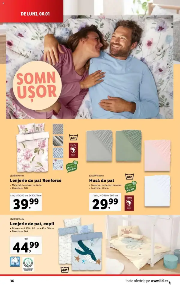 Pagina 36