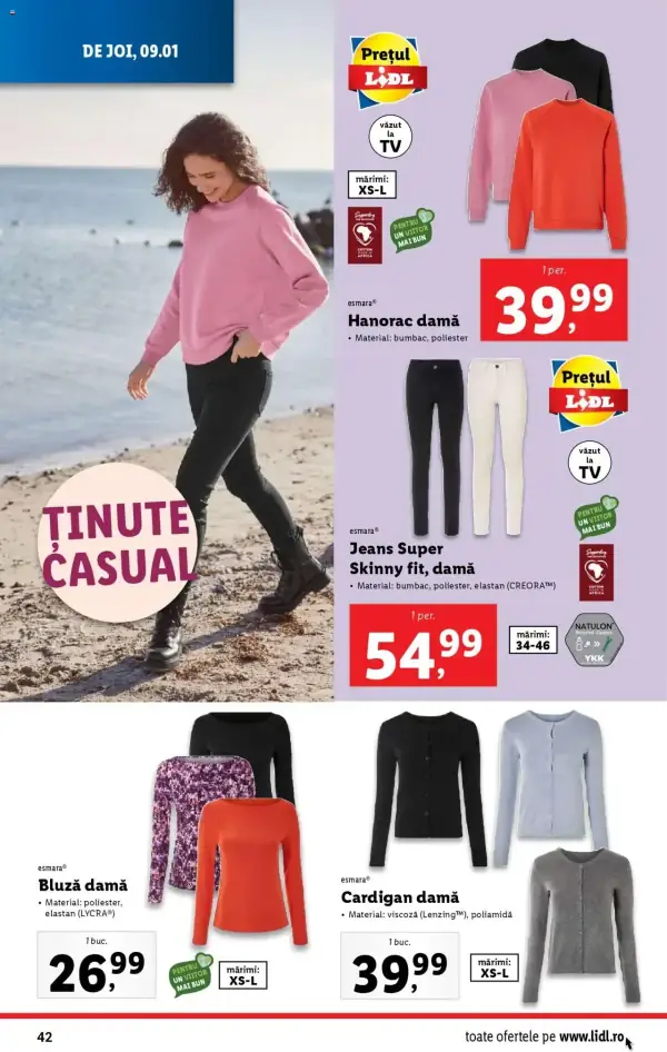 Pagina 42