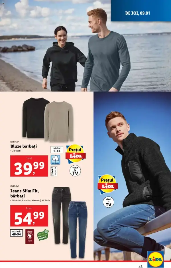 Pagina 43