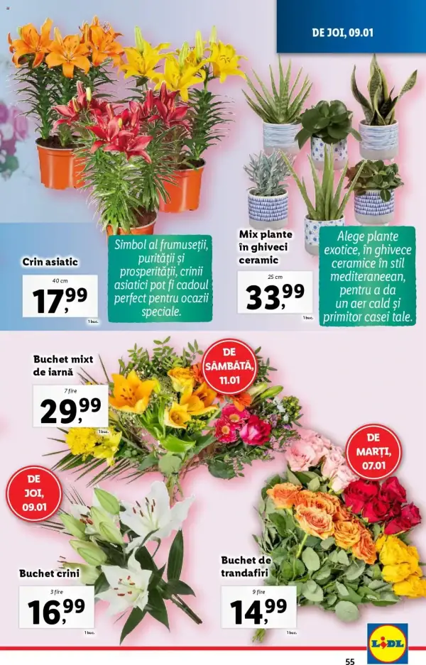 Pagina 55