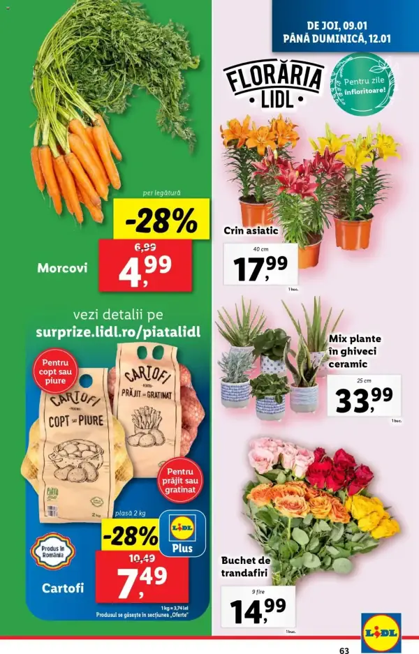 Pagina 63