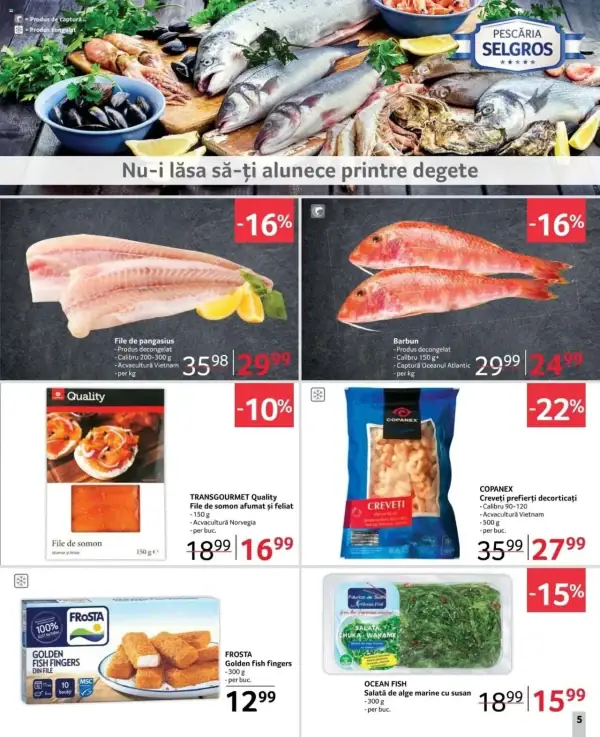 Pagina 5