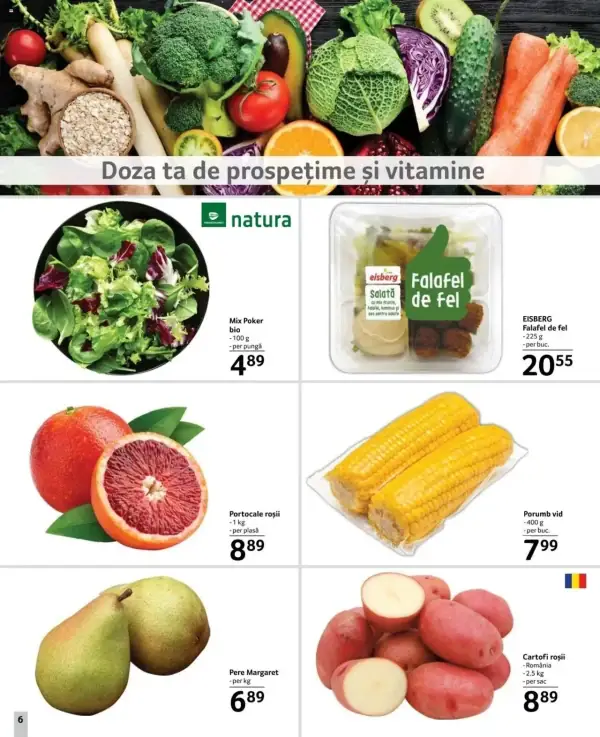 Pagina 6