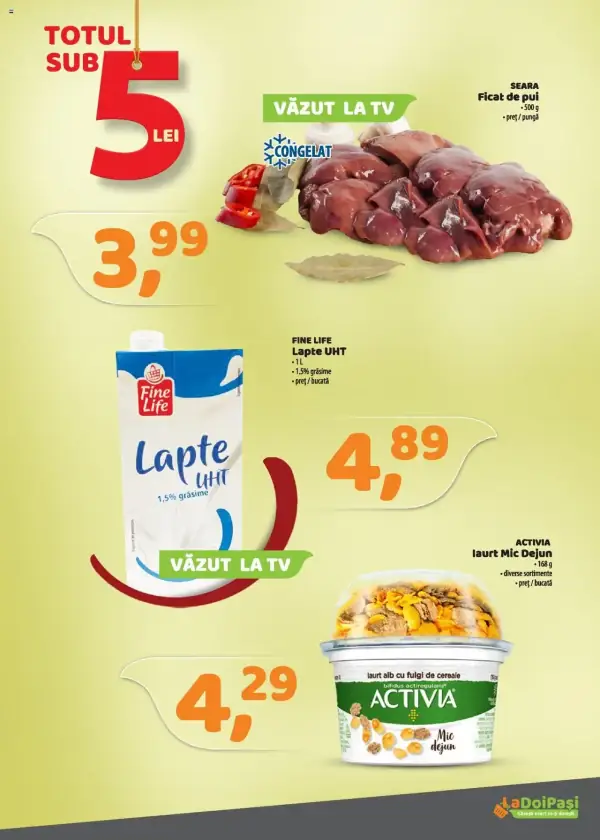 Pagina 3