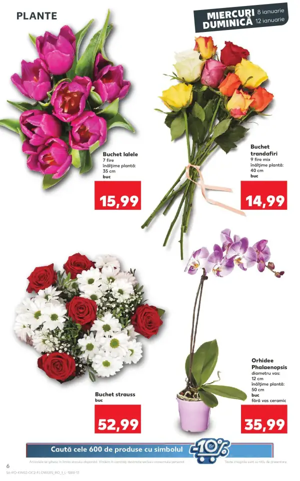 Pagina 6