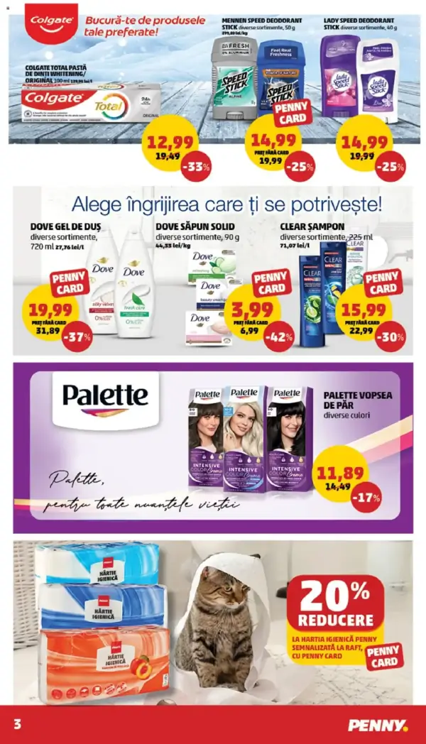 Pagina 3