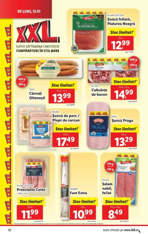 Pagina 12