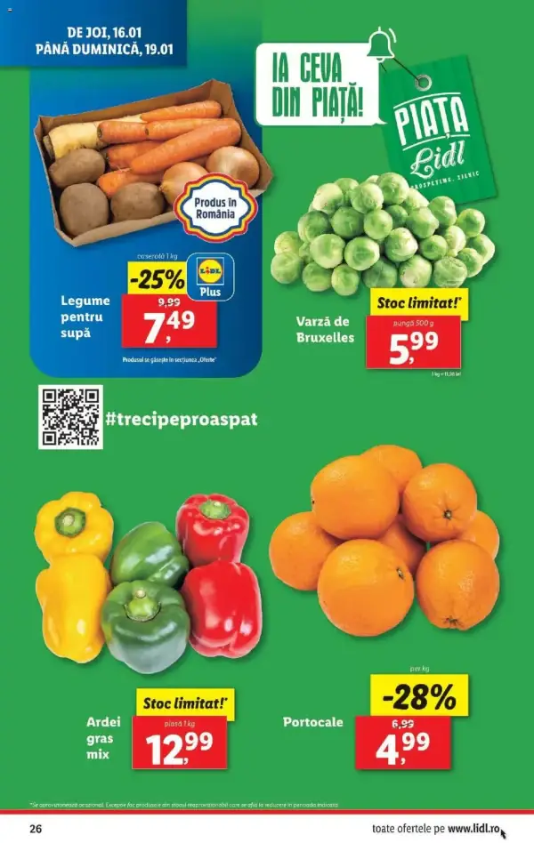 Pagina 26