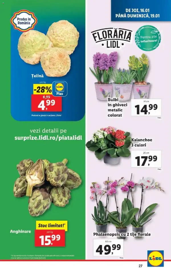 Pagina 27
