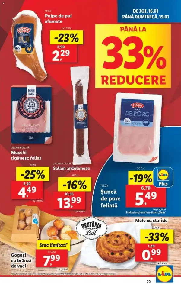 Pagina 29