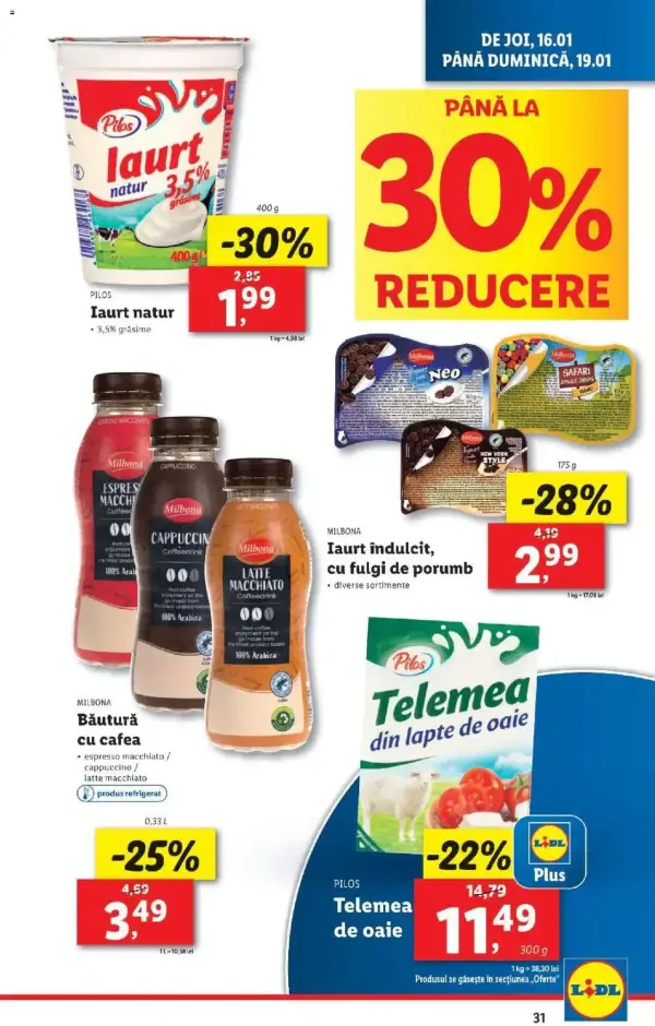 Pagina 31