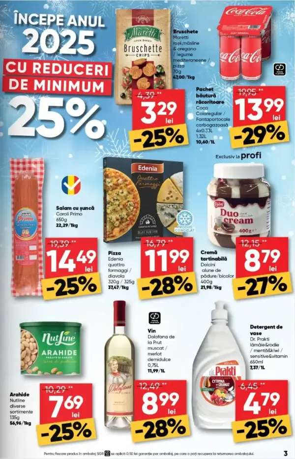 Pagina 3