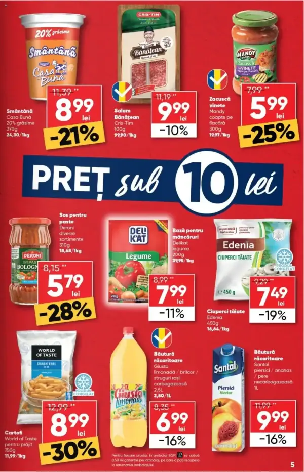 Pagina 5
