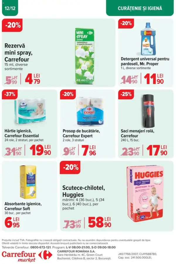 Pagina 12