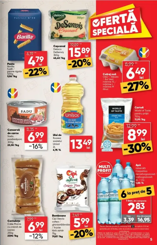 Pagina 5