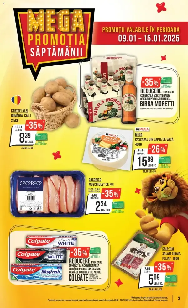 Pagina 3